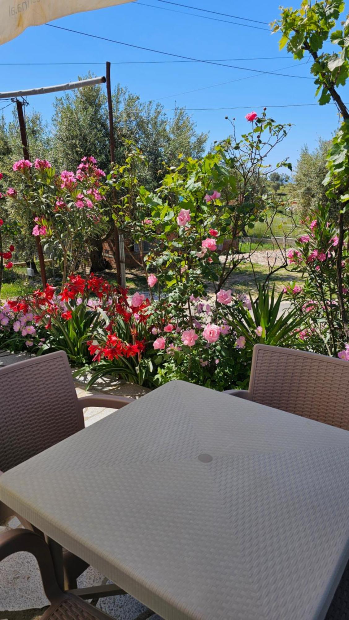 Vila Malo Εξαμίλιο Εξωτερικό φωτογραφία